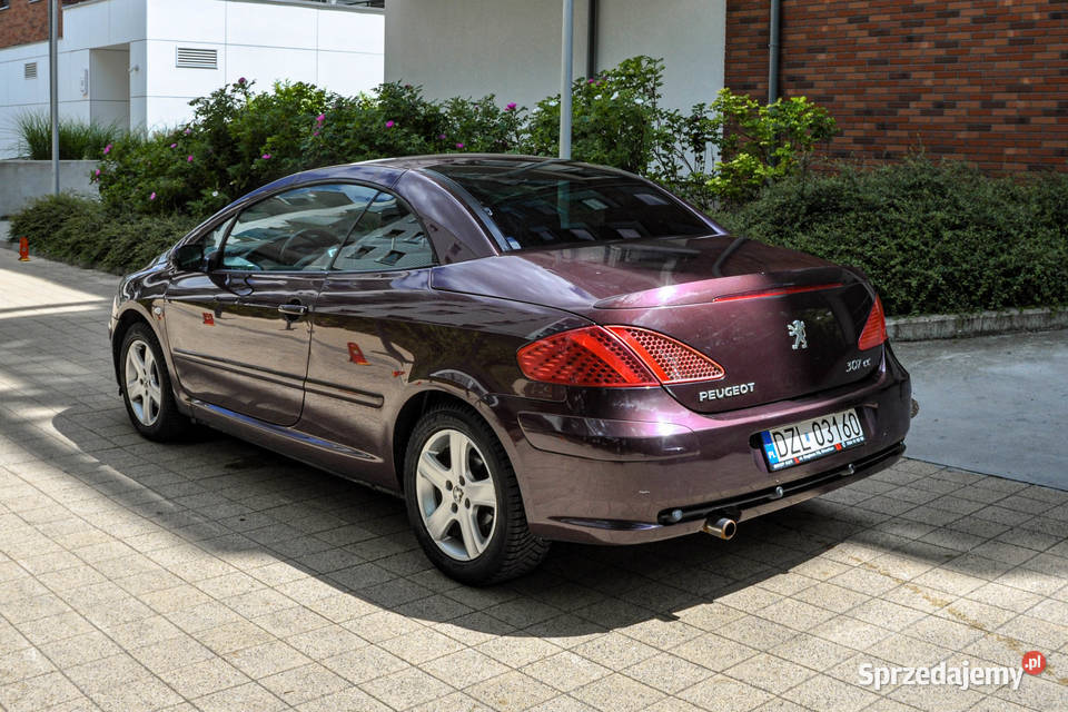 Peugeot 307 20 138 Bezwypadkowy Rok produkcji 2004 307 sprzedam