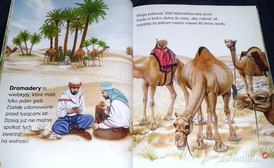 Zwierzęta świata Pere Rovira Francisco Arredondo Rok wydania 2012