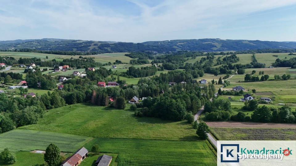 Działka 13100m2 Krasna