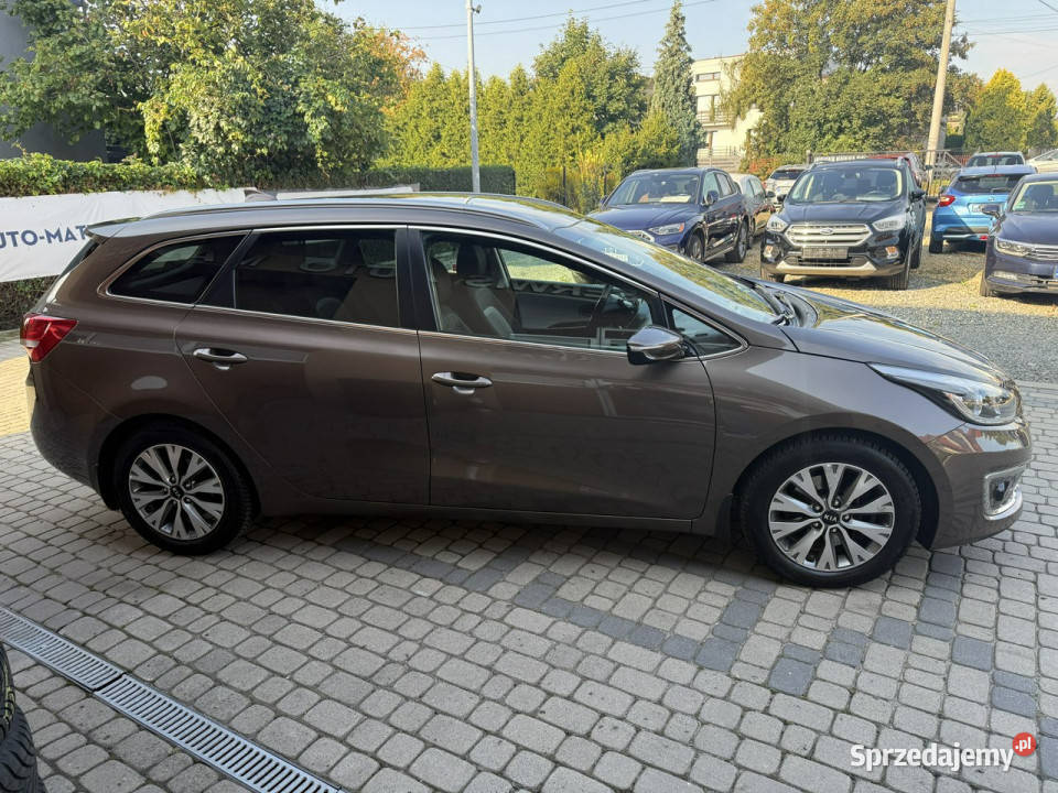 Kia Ceed 16 GDI 135 Klima Navi Kraj Serwis II serwisowany w ASO Kia Orzech