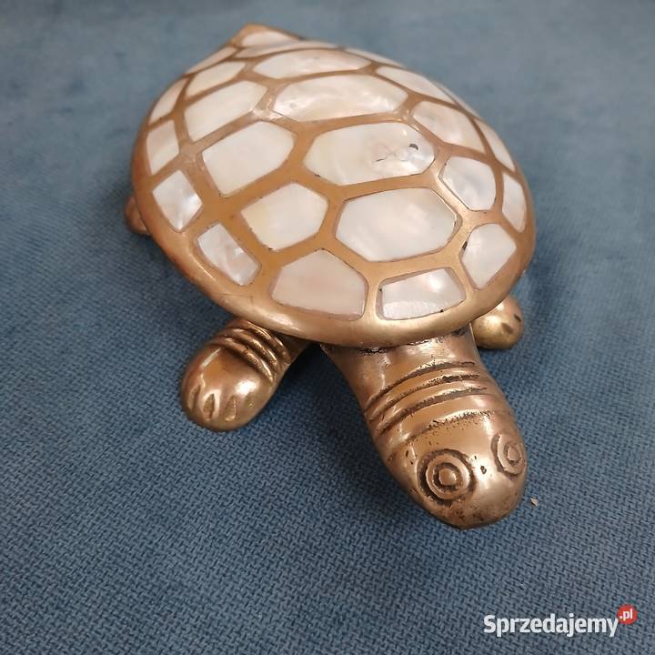 Mosiężny żółw masa perłowa puzderko szkatułka