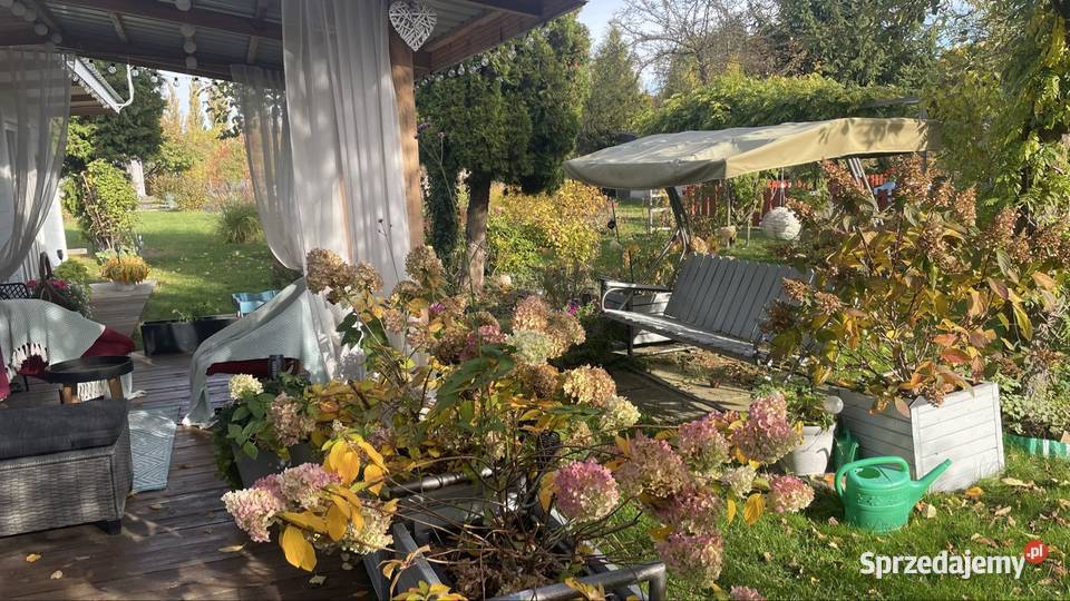 Działka ROD Zduńska Wola sprzedam