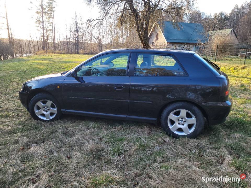 Audi A3 8L 16 mechanicznie ok BT marzec 2027 A3 warmińsko-mazurskie