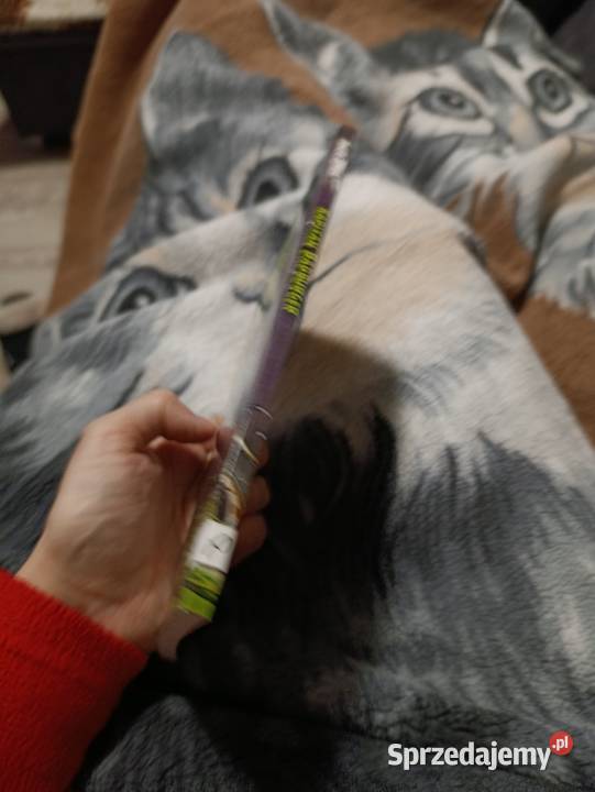 Angry Birds zatytułowana Kapitan Badburger  Poznań