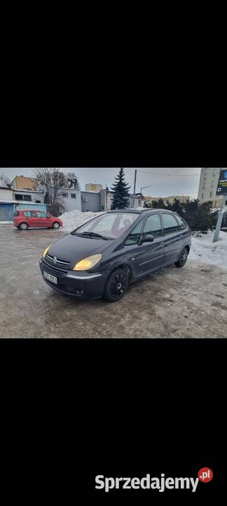 Citroen Xara Picasso grafitowy Xsara Picasso Brodnica