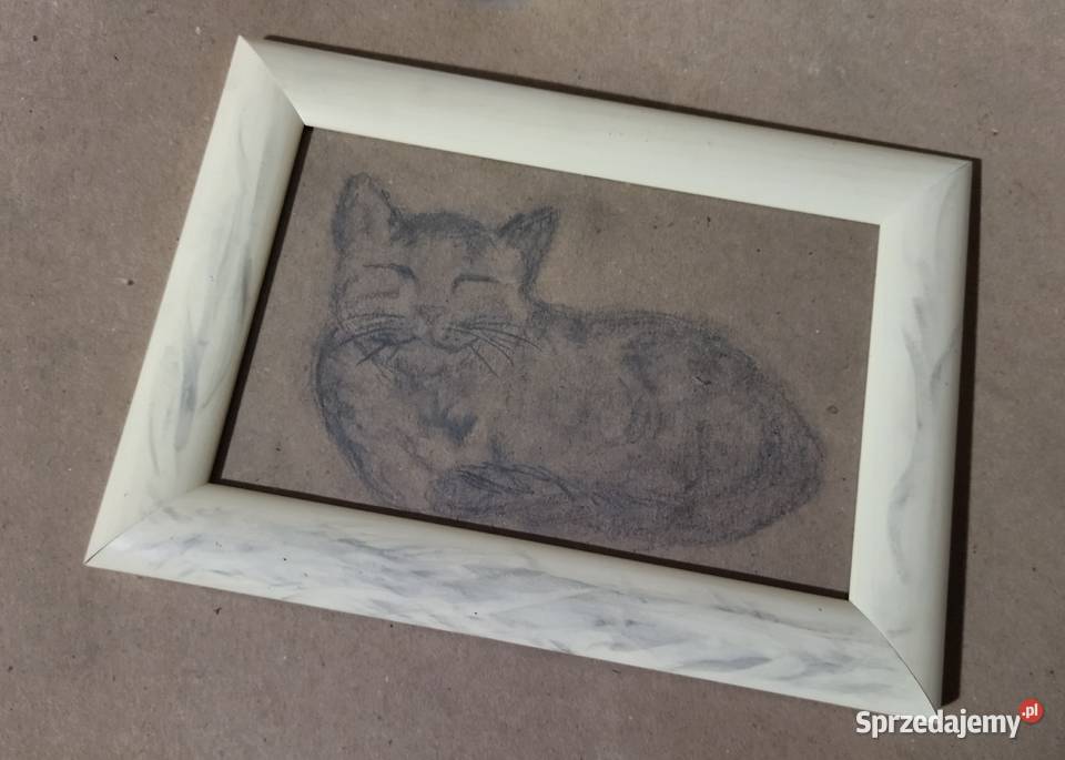 Obraz kotek Kostrzyn nad Odrą