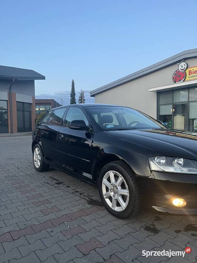 Audi a3 8p 19TDI A3