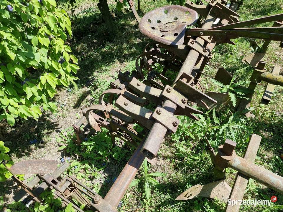 Wielorak pazurki obsypnik dołkownik Goczałków