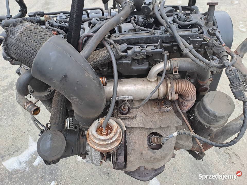 Kia Hyundai 20 CRDi 140 silnik kompletny kod śląskie Jastrzębie-Zdrój