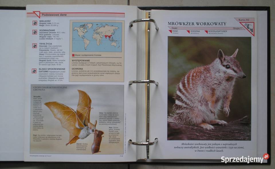 Encyklopedia zwierząt A do Z Kompendium 2 Kraków