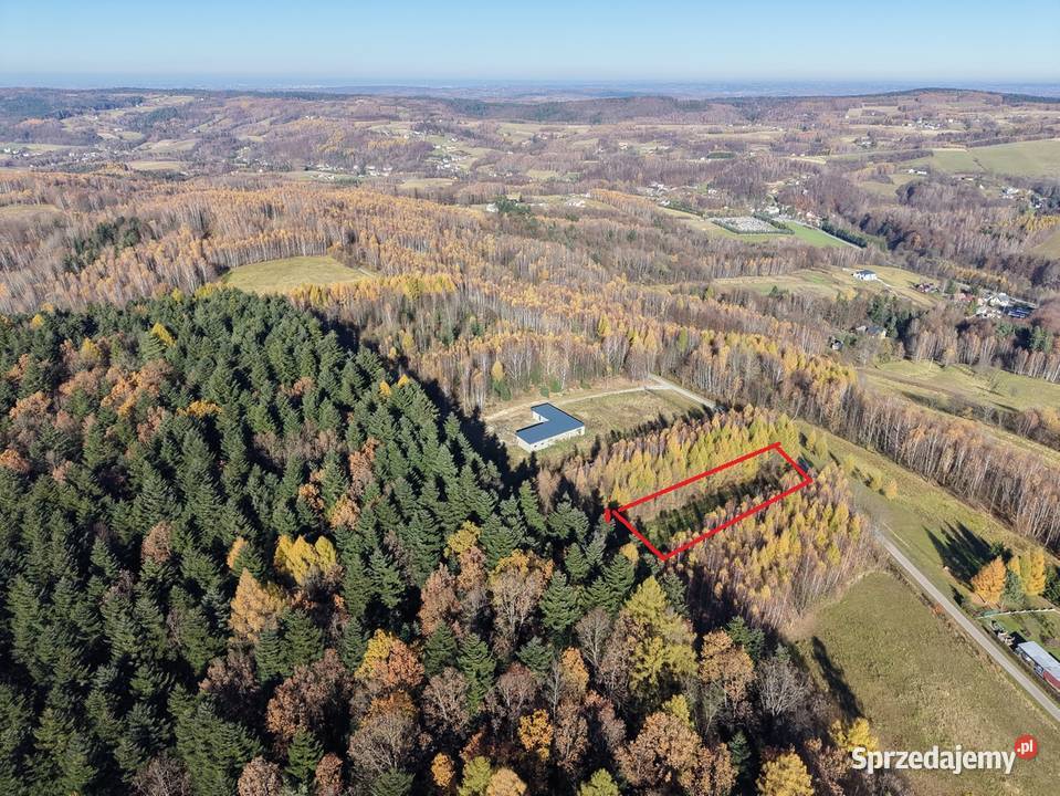 Działka lesie Gwoznica Górna sprzedam