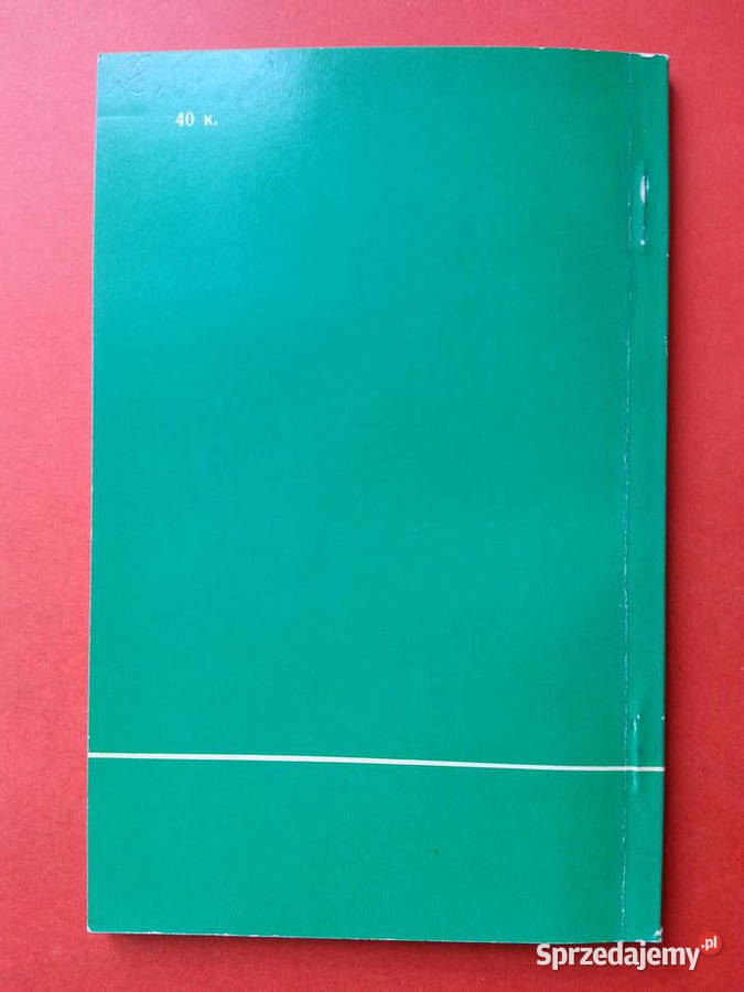 2955 Zapoznanie Z Piłką Nożną Szczecin