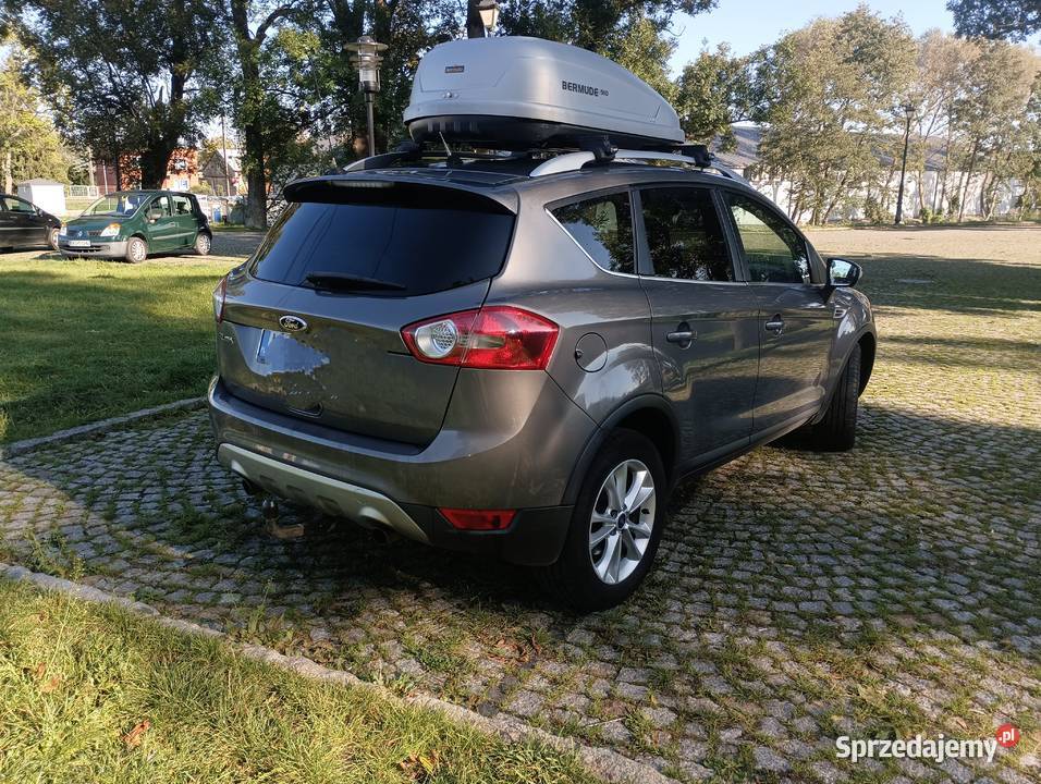 Ford Kuga nieuszkodzony