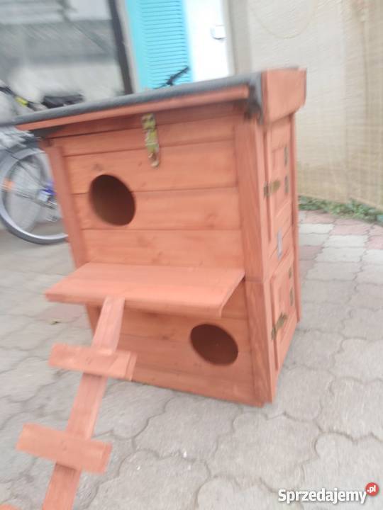 Domek kilku kotówPromocja Grodziec