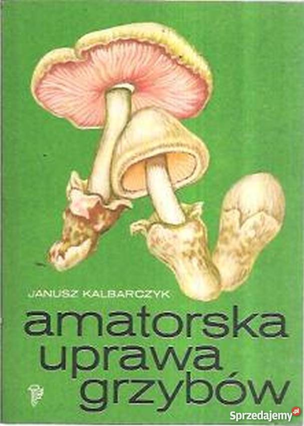 AMATORSKA UPRAWA GRZYBÓW lubuskie Gorzów Wielkopolski