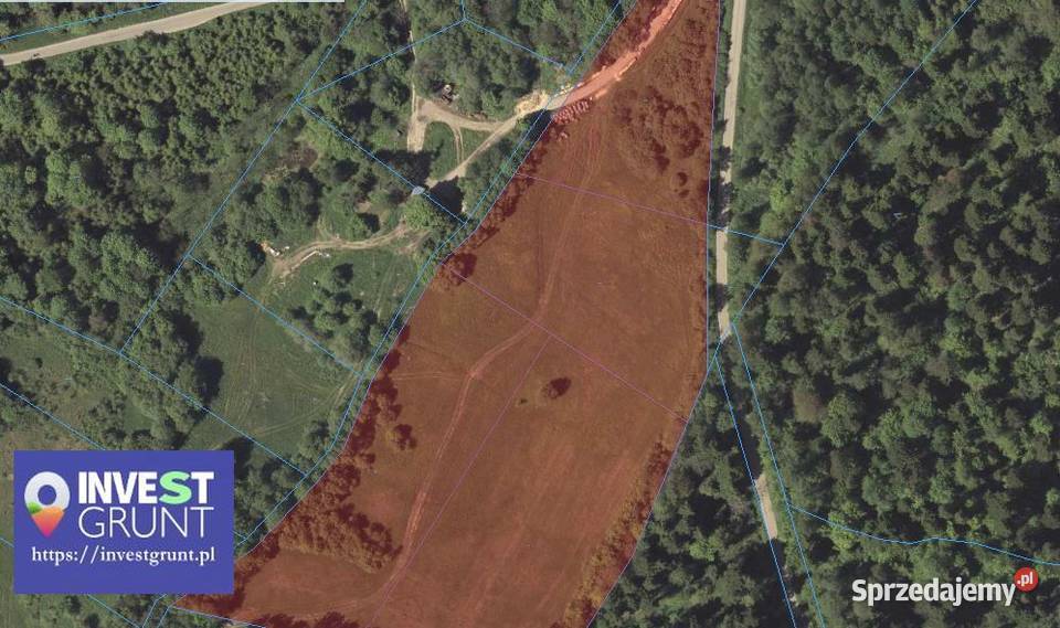 880 ha grunty rolne przetarg na dzierżawę podkarpackie Rudenka