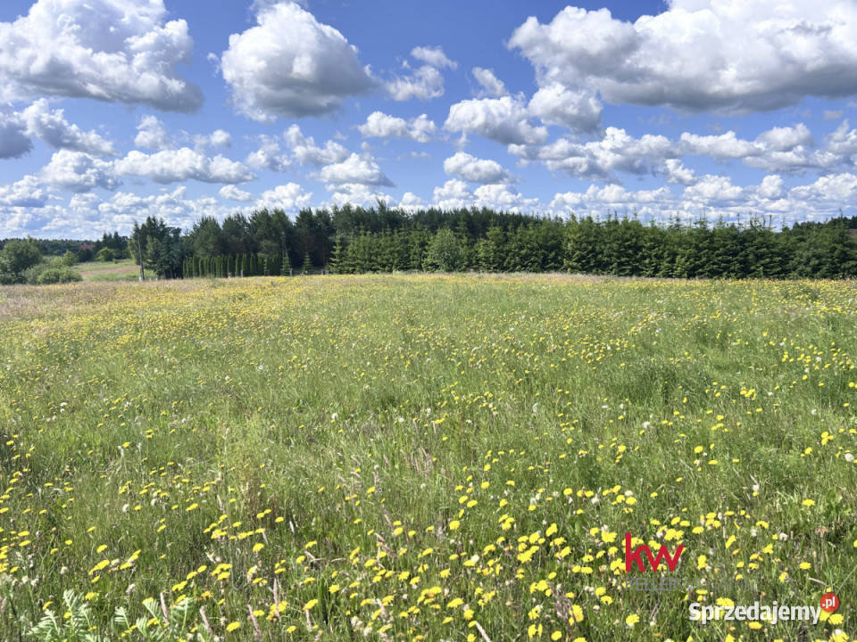 sprzedaży gruntu Kwidzyn 1509m2