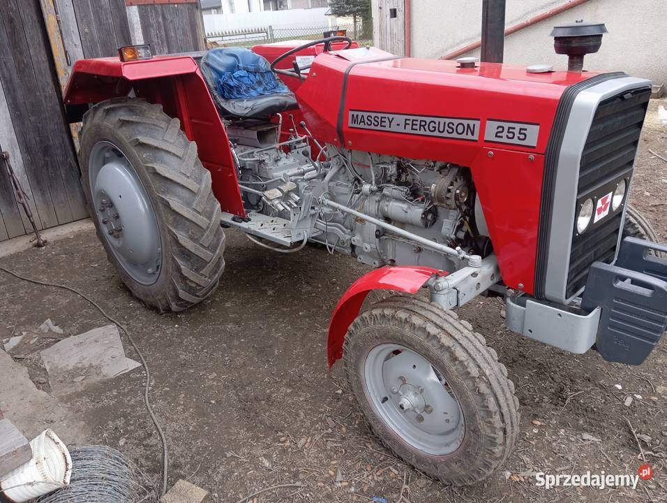 Massey Ferguson 255 małopolskie Bobowa