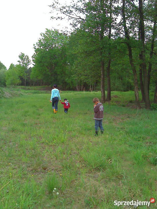 PROMOCYJNA Piekne działki rekreacja na Jurze sprzedam