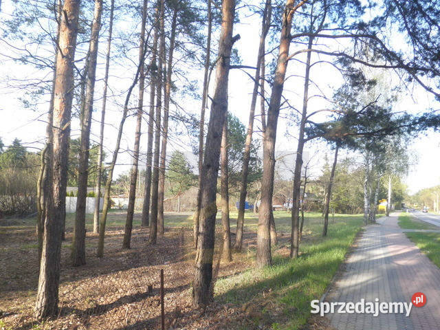 Działka budowlana w Józefowie Sprzedaż Józefów