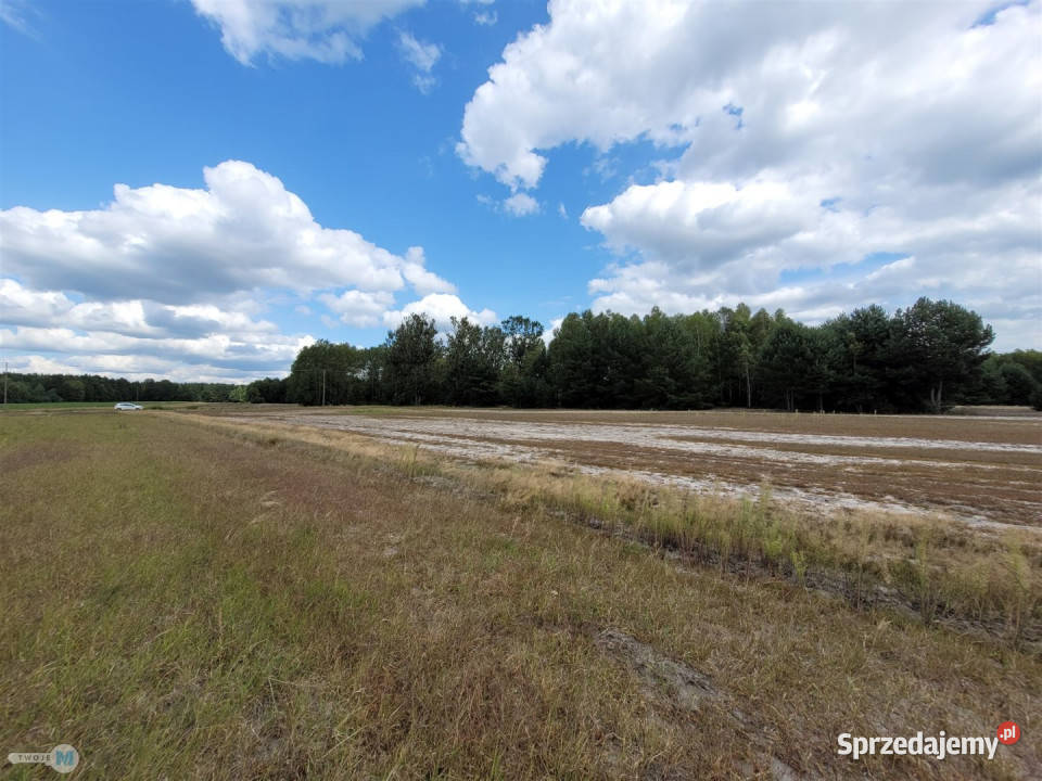 Sprzedaż gruntu 8000m2 Kluczewsko świętokrzyskie