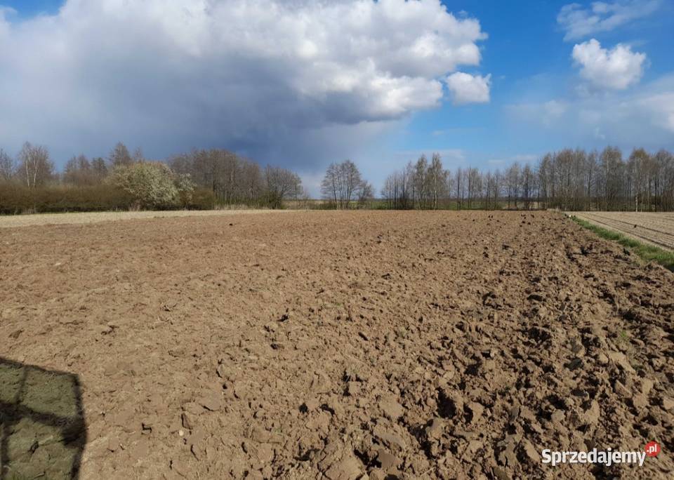 Wezmę w dzierżawę pole grunty orne1535 ha 10000m Obsza