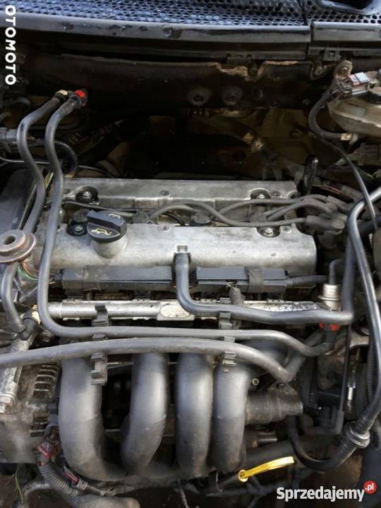 Sprzedam Forda Focusa MK1 1.6 Łask Sprzedajemy.pl