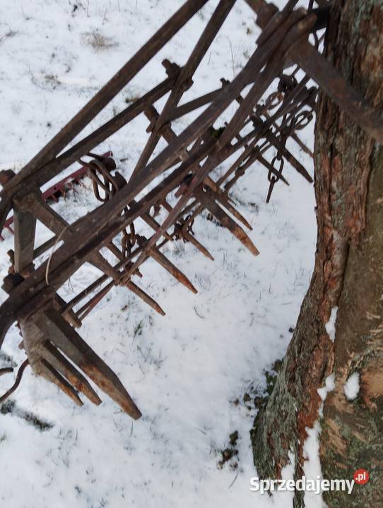 Brony 5 polowe Grudziądz Miedźno