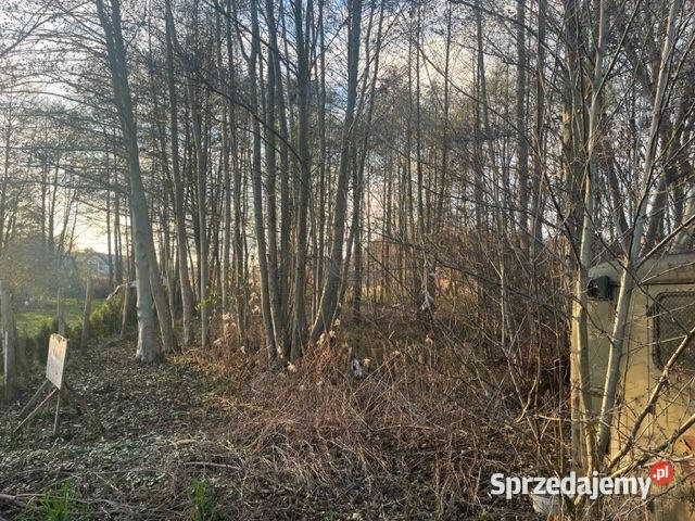 Sprzedaż gruntu Oleśniczka 1163m2