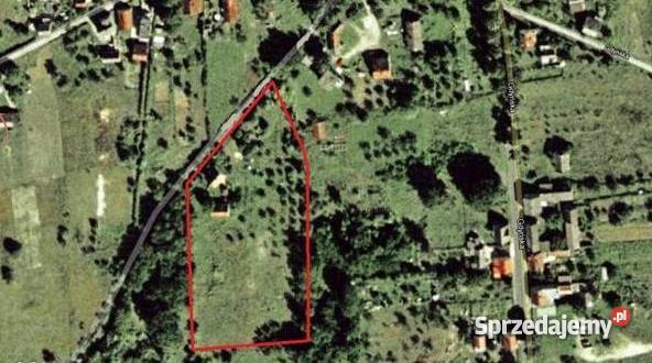 Dom do remontu z działką 8600m2 GubinJaromirowic 3409zł/m2 Domy Gubin