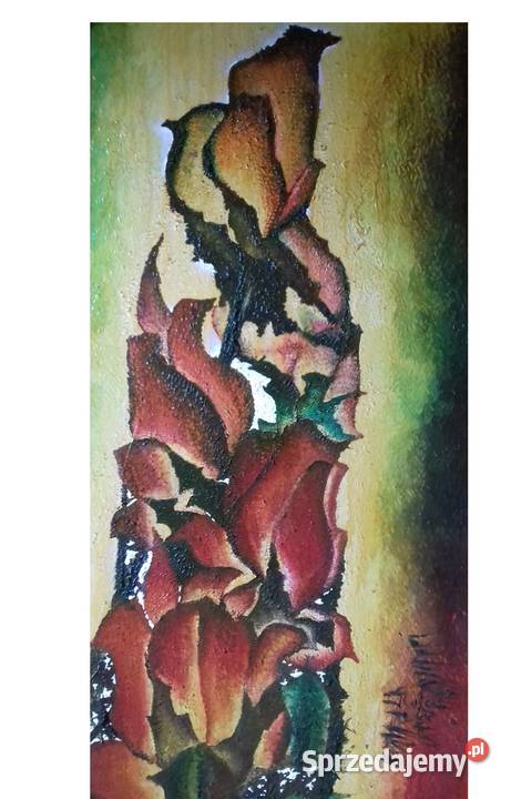 Herezyjne Tulipany podkarpackie Jarosław