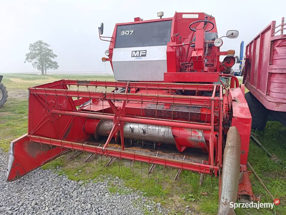 Kombajn zbożowy Massey Ferguson 307 Zbożowe mazowieckie Rawica Nowa