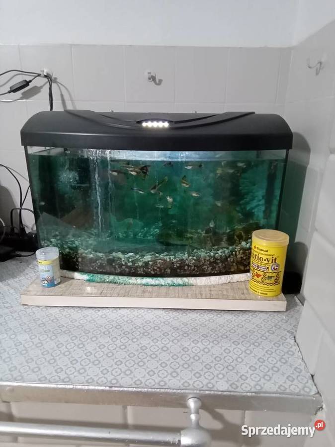 Akwarium mazowieckie