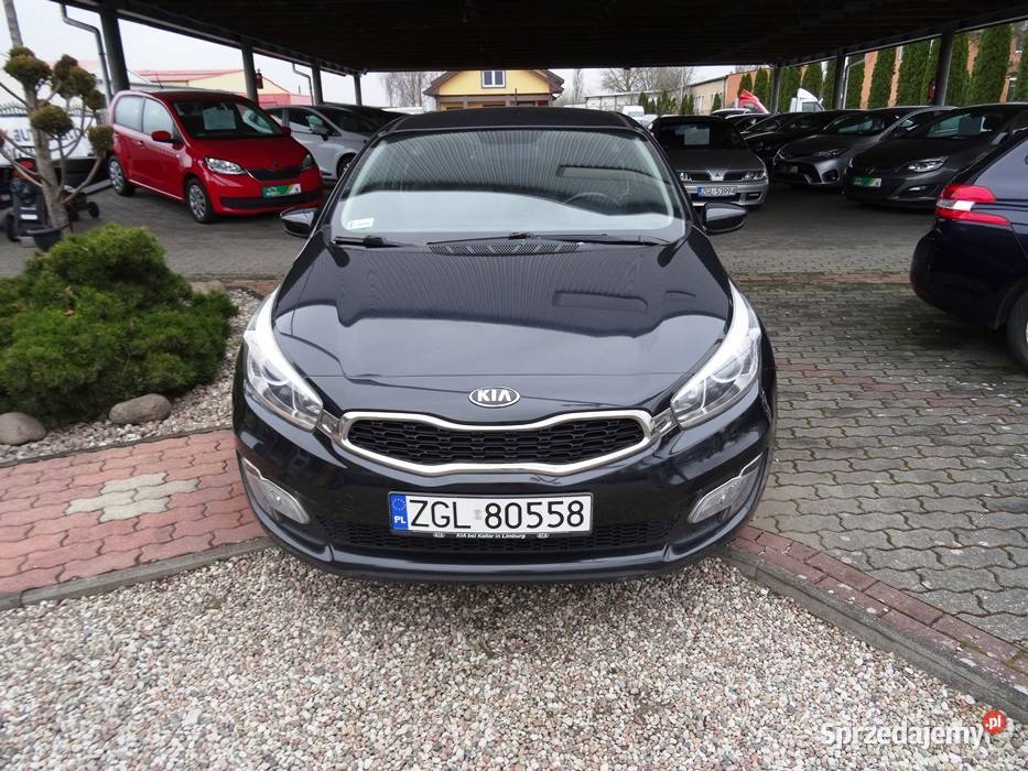 KIA ProCEED Procee'd zachodniopomorskie Goleniów