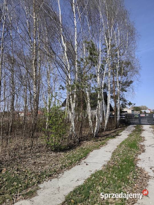 Ruda gm Dębe Wielkie budowlana 797 m2 Sprzedaż