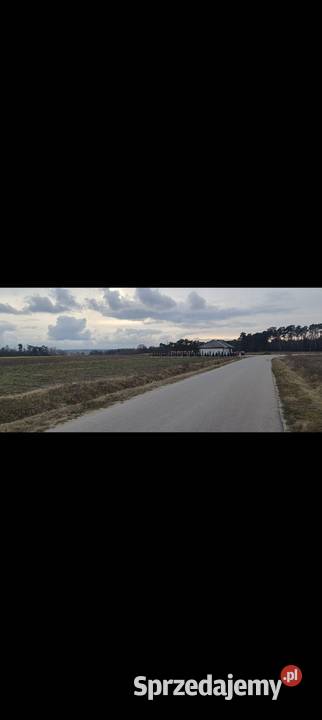 Działka budowlana 15 Kalisza Sprzedaż Kalisz