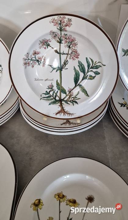 VilleroyBoch Botanica serwis obiadowy 5 osób