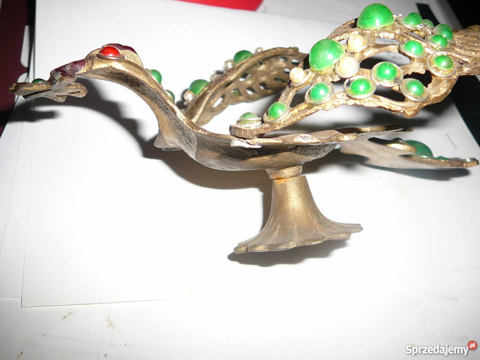 Ptak z kamieniami Wrocław