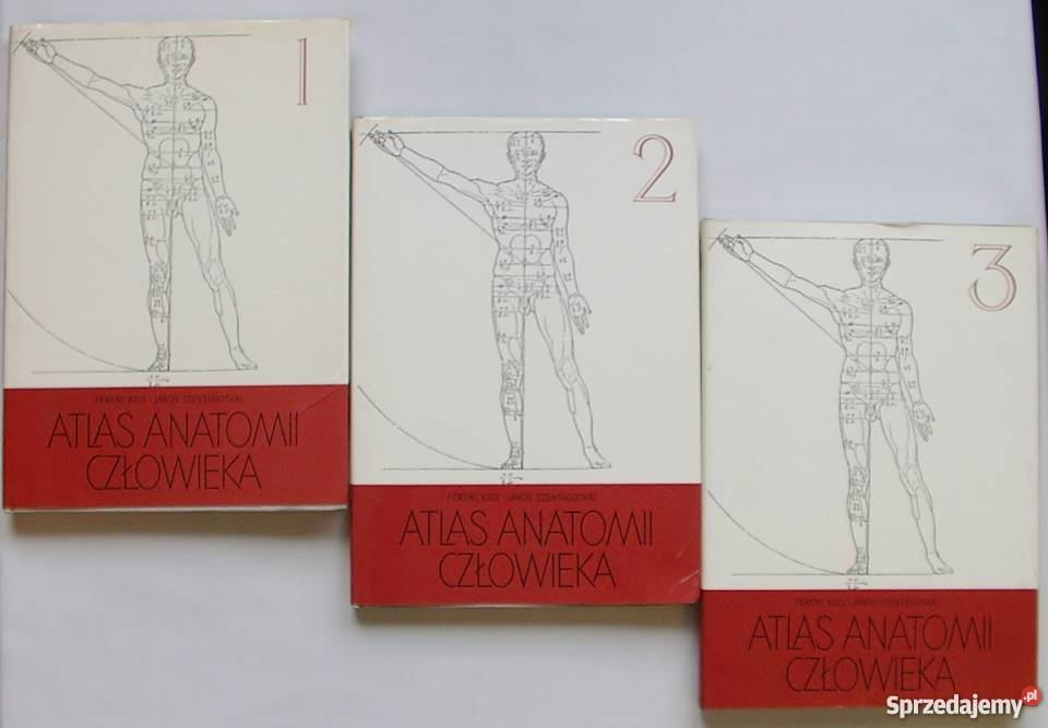 ATLAS ANATOMII CZŁOWIEKA TOM 13 KISS zdrowie, pierwsza pomoc Zielona Góra sprzedam