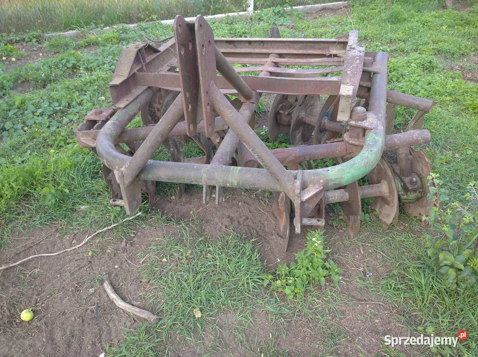 Talerzówka nieuszkodzony kujawsko-pomorskie