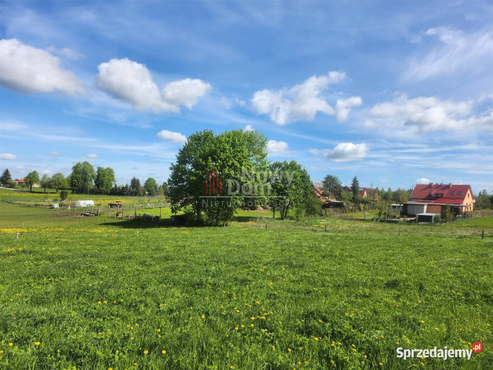 Grunt 1503m2 Kożuchy Wielkie 1503m2 warmińsko-mazurskie