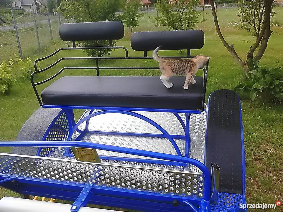 Bryczka pojazd konny Dokart Bełchatów