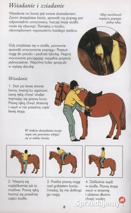 JAZDA KONNA KOLEKCJA JUNIORA Rok wydania 2006 Gorzów Wielkopolski