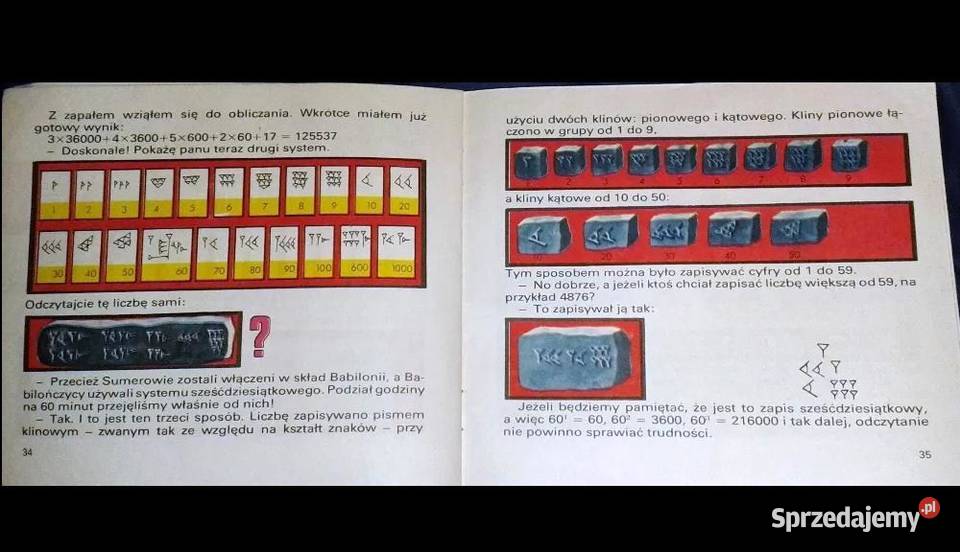 Smocza Wyspa Arytmetyka Jerzy CwirkoGodycki Pozostałe Chełm sprzedam