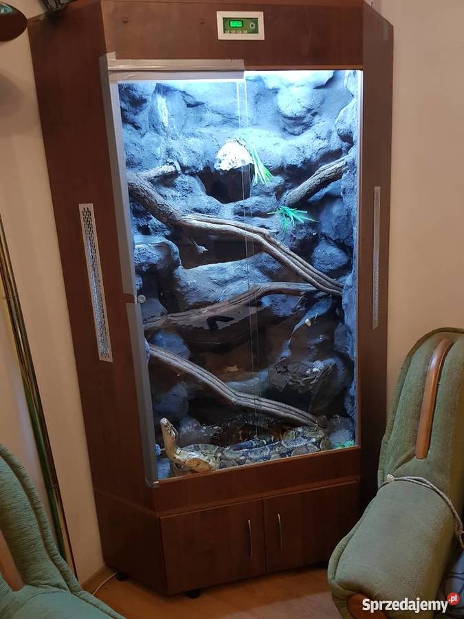 Sprzedam węża boa dusiciela samica z terrarium Legionowo