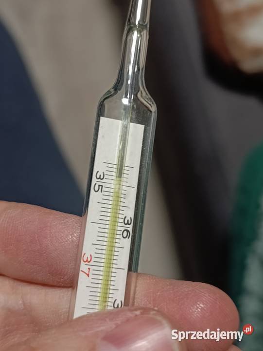 termometr stary Poznań sprzedam