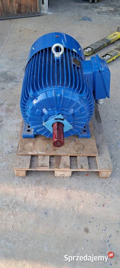 Silnik elektryczny Celma 75kw 730obr Srokowo