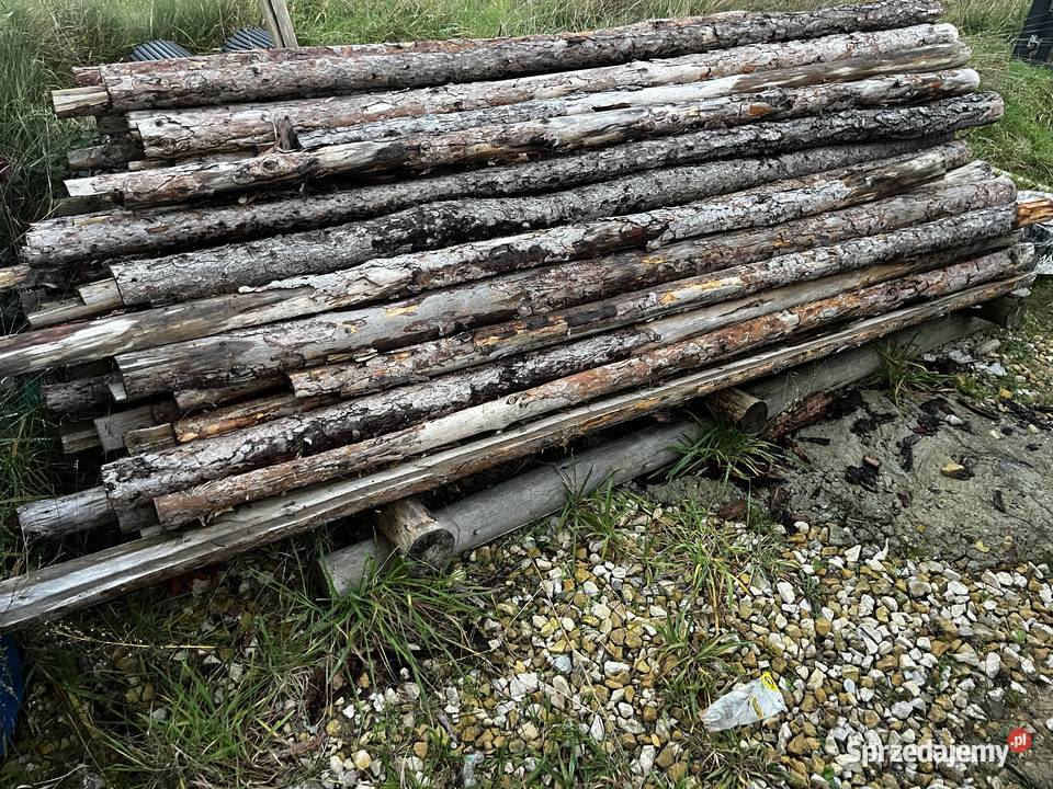 Stemple budowlane drewniane Miedźna