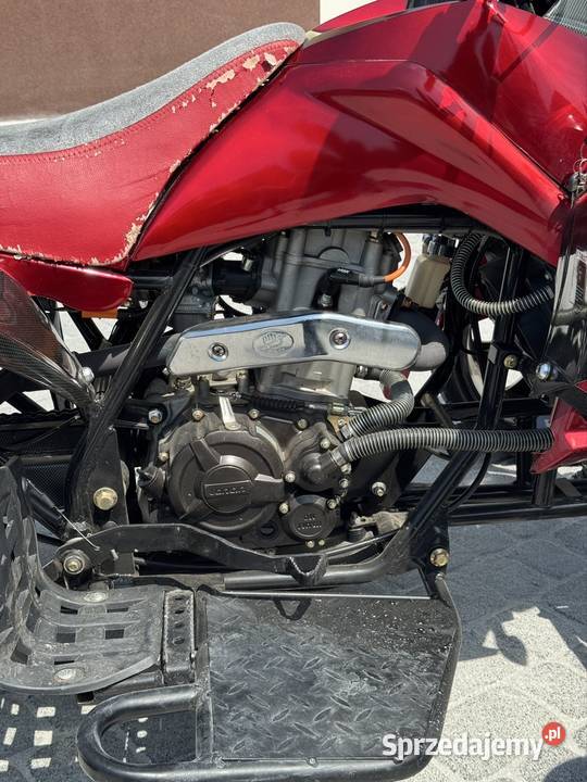 Quad Buganda Jingling Lasowice Małe