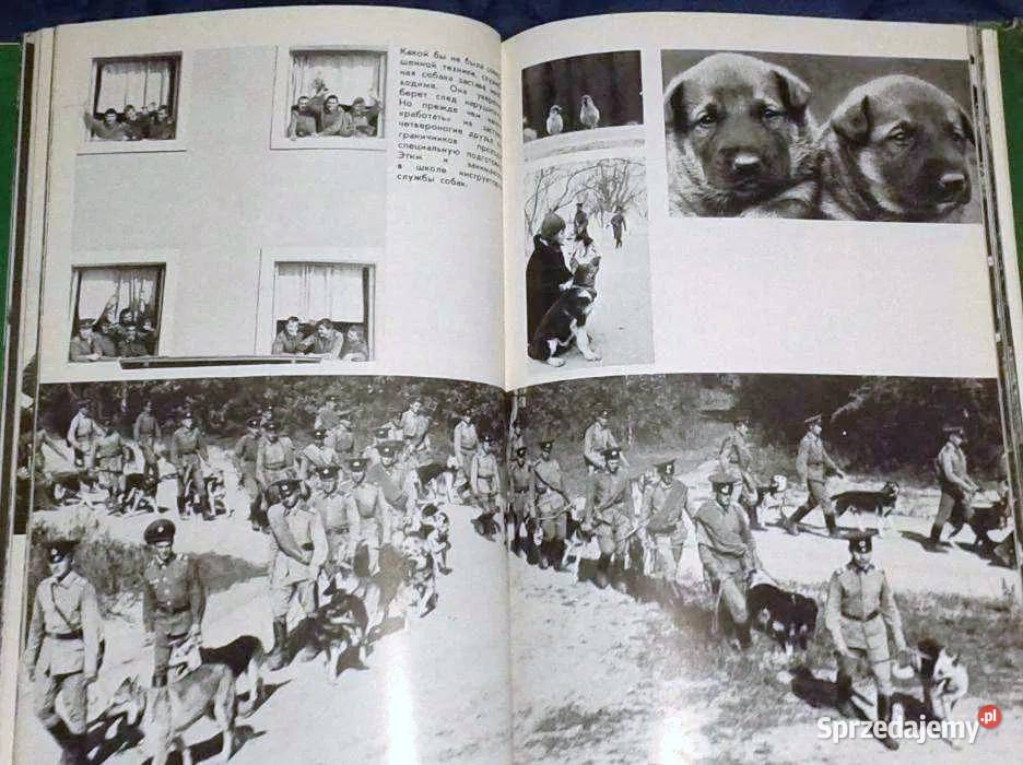 W bezimiennym patrolu B lubelskie Chełm